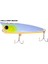 Pop Walker 10CM 24GR Maket Yem 5