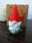 3D Gnome 1