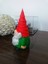 3D Gnome ve Noel Baba Seti 7