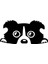 Camdan Bakan Köpek Oto Özel Yeni Sticker Siyah 30 x 15 cm 1
