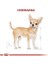 Royal Canin Chihuahua Adult Yetişkin Köpek Maması 1.5 kg 5