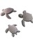 Kaplumbağa 3 Adet 6 cm Caretta Caretta Dekor Süs ( Akrilik Boyamaya Uygundur ) 1