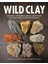 Clay: Creating Ceramics And Glazes From Natural And Found Resources 1