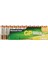 Batteries 15AU Ultra Alkalin LR6/E91/AA Kalem Pil, 1.5 Volt, 12'li Paket, Bakır/siyah/beyaz 1