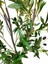 Yapay Zeytin 150 cm Boyunda Dekoratif Modern Iç Mekan Salon Ofis Ağacı 3