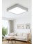 Gri Çerveli LED Avize Enerji Tasarruflu Tavan Aydınlatması 6500K Beyaz Işık 60*60 cm 3