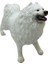 Soft Köpekler - Samoyed Cinsi Köpek - E013 (Lisinya) 1