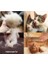Kedi Köpek Tüy Toplama Kaşıma Tarama Eldiveni Evcil Hayvan Tüy Toplama Eldiveni 7