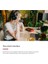 Scarlett 2i2 Gen 4 Ses Kartı: Kayıt, Şarkı Yazma, Yayın ve Podcasting Için USB Audio 7