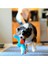 ! Indoor Squirrel Eve Özel Yumuşak Sincap Frizbi 6