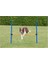 Köpek Agility Eğitim Manisi , 123×115×Ø3 cm 2