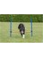 Köpek Agility Eğitim Manisi , 123×115×Ø3 cm 6