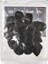 Dunlop 427R200 Tasche Mit 24 2mm Mediatoren 5