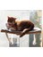 Yeni Model Cam ve Duvar Için Kedi Yğı Vantuzlu 2