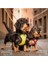 Vest Harness Clasp Air-Mesh Skyblue 2xs 5