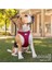 Vest Harness Clasp Air-Mesh Skyblue L 6