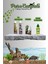 Kaplumbağa Su Düzenleyici ve Bakım Seti (Tor-Axsol Vitamin + Bioturt Kabuk Sertleştirici + Turtle Notox + Turtle Fresh) 1
