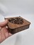 Ahşap Dekoratif Kutu 12 cm x 12 cm x 3 cm No4 3