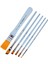 Fırça Blister Set 1 (123 Seri NO:2-200K Seri NO:4-200F Seri NO:6-8-725 Seri NO:13-425 Seri NO:30MM Kısa Sap) 1