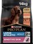 Large Athletic Adult Somonlu Köpek Maması 14 kg 1