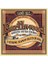 Earthwood 5-String Banjo Bluegrass Loop End 80/20 Bronz Akustik Gitar Telleri, Ölçü 9-20 1