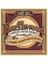 Earthwood 5-String Banjo Bluegrass Loop End 80/20 Bronz Akustik Gitar Telleri, Ölçü 9-20 2