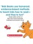 Bob Books - Set 1: Beginning Readers Box Set | Decodable Phonics Books, Ages 4 And Up, Kindergarten 7