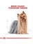 Yorkshire Terrier Köpek Maması, Yetişkin, 1.5 kg 7