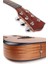 M450-EQ-AMP Profesyonel Masif Ağaç Amfili Elektro Akustik Gitar Seti Üst Segment 2