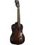 Elvis Viva Las Vegas Concert Ukulele Eğitim Seti 2