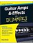 Guitar Amps & Effects For Dummies 2