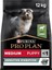 Medium Puppy Kuzu Etli Köpek Maması 12 kg 1