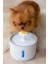 Pet Kedi Köpek Için Otomatik Su Pınarı Su Çeşmesi Su Sebili 2.4 Lt USB ile Çalışır 3