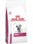 R0YAL Canin Renal Kedi Maması 2 kg 1