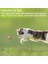 Sünger Kedi Köpek Çiğneme ve Oyun Topu 4 Adet 4
