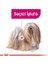 Ccn Exigent Köpek Yaş Mama, 85 gr 3