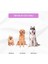 Köpek Oyuncağı 2 Adet Köpek Topu Eğitim Topu Stres Ipten Top 9 cm Büyük 2