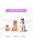 Köpek Oyuncağı 2 Adet Köpek Topu Eğitim Topu Stres Ipten Top 9 cm Büyük 5