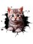 3D Kedi Motorsiklet,cam, Laptop, Kask, Araba Sticker 13X13 cm 1