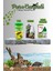 Ahm Turtle Sticks Yem + Tor-Axsol Vitamin + Deepfix Kabuk Koruyucu Seti 1