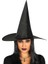 Yetişkin Boy Siyah Cadı Şapkası ve Uzun Siyah Cadı Peruğu - Lisinya 1