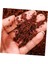 30X10 mm Hindistan Cevizi Kabuğu Blokları: Saksı Toprağı Için Hindistan Cevizi Kabuğu Özü, Bitkilerle (Sukulentler, Bonsai Toprağı) Karıştırılmış (Yurt Dışından) 2