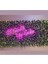 Neon LED Bi Güzellik Yap Kendine Yazılı Dekoratif Duvar Aydınlatması 1