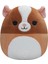 Nessiworld Squishmallow Ginepig Garret 20 cm 1