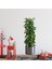 Nessiworld Saksılı Bitki Tasarımlı Yapışkanlı Sticker Resim 90*30 cm MC-665 1