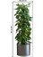 Nessiworld Saksılı Bitki Tasarımlı Yapışkanlı Sticker Resim 90*30 cm MC-665 4