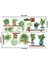 Nessiworld Raflı Saksılı Çiçek Tasarımlı Yapışkanlı Sticker MC-480B 5