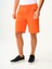 Regular Fit Erkek Şort 14