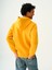 Regular Fit Erkek Sweatshirt 13