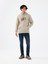 Regular Fit Erkek Sweatshirt 14